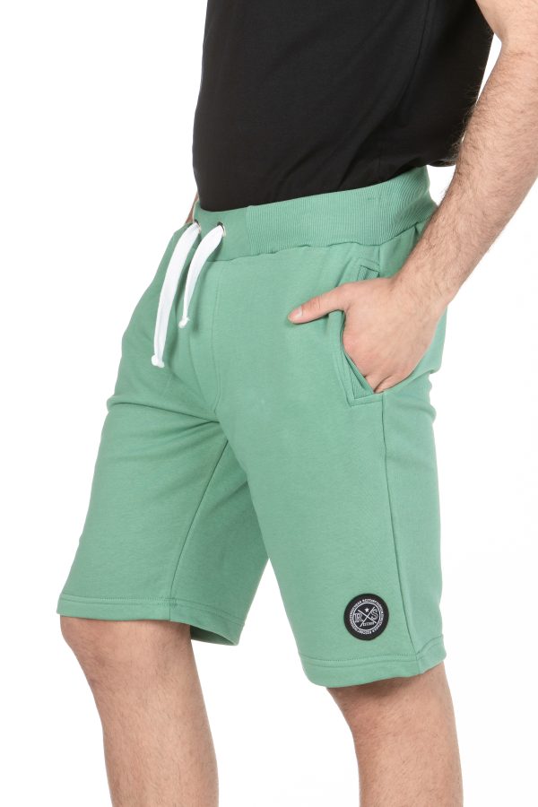 RS 1915 green scaled